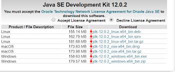 If i install multiple java versions, can i set my minecraft instance, in amp, to use a specific one? How To Run A Java Program In Windows 10 Javatpoint