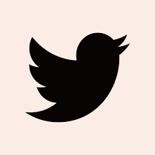 Twitter In 2020 App Icon Ios Icon Ios App Icon