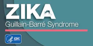 Gbs can occur after a viral infection, surgery, injury, or a reaction to an immunization. Zika And Guillain Barre Syndrome Zika Virus Cdc