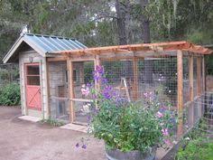 Ternak ayam kampung mardi, ayam arab & ayam sabung (cara moden & terkini). 8 Chicken Bath Ideas In 2021 Chicken Diy Chickens Backyard Building A Chicken Coop