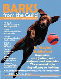 Barbara holds a master's degree in modern european history and economics from the university of berne (switzerland) and a mba (master of business administration). Barks From The Guild November 2018 By The Pet Professional Guild Issuu