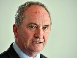 Barnaby Joyce criticises federal coalition