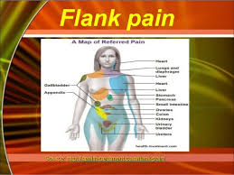 Pin On Chinese Medicine