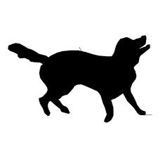 Download free photo of Happy,dog,drawing,vector,sketch - from needpix.com