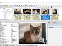 Xnview is a free software for windows that allows you to view, resize and edit your photos. Viewing Exif Data With Xnviewmp