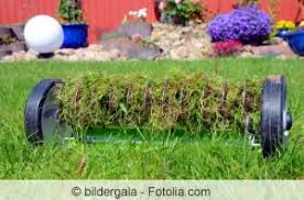 Denn für ein gesundes und kräftiges wachstum braucht das gras die sonne. Unkraut Im Rasen Rasenunkrauter Bestimmen Und Bekampfen Gartendialog De