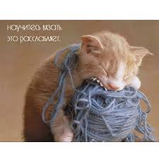 интуитивное питание как перестать беспокоиться о еде и похудеть Hochesh Pohudet Vyazhi Vyazanie Ne Tolko Rasslablyaet Kto Ne Videl V Storis Ya Sejchas Chitayu Intuitivnoe Pitanie Kak Perestat Bespoko Kartinki Yumor Vyazanie