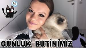 Kedim Ile Bir Gunluk Rutinim Kedi Bakmak Zor Mu Kolay Mi Kedi Sahiplenmek