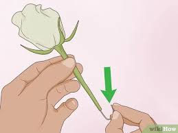 With glorious moral of happy ending. How To Arrange Silk Flowers 12 Steps With Pictures Wikihow