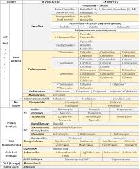 Antibiotics Summary On Meducation