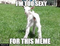 I M Too Sexy For This Meme Goat Funny Goat Pose