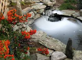 #fish #pond #fish pond #backyard #outside #nature #natural #interiors #interior design #interior #fishblr #koi #fish #pond #fish pond #koi pond #i love the koi in this pond #i need to bring them i once saw a simple fish pond in a japanese village which was perhaps eternal. Our 6 Best Tips For Caring For Your Koi Pond During The Winter Neave Group