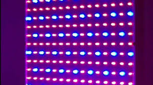 Check spelling or type a new query. 225 Red And Blue Led Hydroponic Plant Grow Light Panel 14w Rbled Youtube