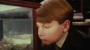 Heather Canning: Películas, biografía y listas en MUBI