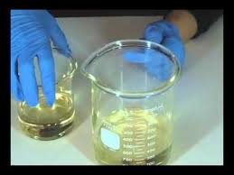 Disappearing Beaker Experiment Watch How To Bend Light And Make Objects Disappear Homeschool Science Experiments Homeschool Science Science Experiments