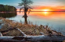 Maybe you would like to learn more about one of these? Retire In Toledo Bend And Sabine Parish Louisiana Travel