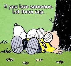 If You Love Someone Let Them Nap Snoopy Quotes Snoopy Love Snoopy Pictures