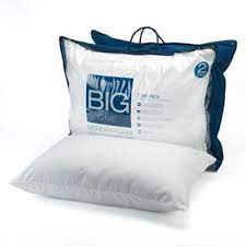 The Big One 2 Pk Gel Memory Foam Bed Pillows Standard Queen Memory Foam Beds Bed Pillows Gel Memory Foam