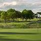 Marion Masters Super Seniors Championship