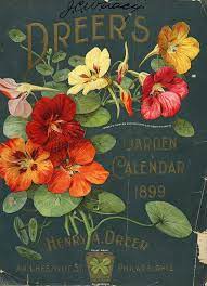 Vintage Packaging Flower Seed Packets From The 1800s Vintage Seed Packets Vintage Packaging Flower Seeds Packets