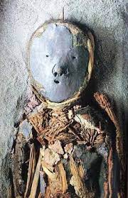 Ver más ideas sobre momias chinchorro, museo de historia natural, historia natural. Las Mejores 14 Ideas De Cultura Chinchorro Y Sus Momias Mas Antigua Del Mundo Cultura Chinchorro La Momia Momias Chinchorro