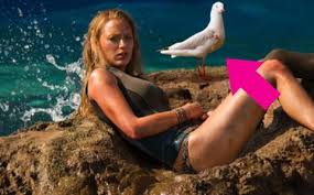 The shallows and a simple favor. The Seagull From The Shallows Is A Great Actor Blake Lively Shallows Movie