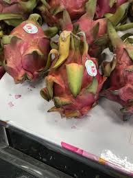 1,687,500 beli +3 gems or 975 robux. Dragon Fruits Devil Fruits Onepiece