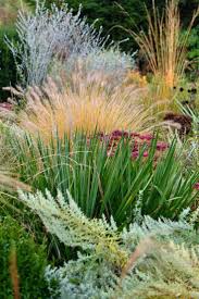 Wild Garden Made By Wiktor Klyk Garden Designer Perennials Wildgarden Gardenideas Gardendesig Landscaping With Rocks Mediterranean Garden Landscape Design