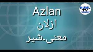 Zzyzx voted most bizarre name ever used for a baby pakistani boy names. Top 20 Muslim Baby Boy Names 2019 Muslim Baby Boy Names With Urdu Meanings Youtube