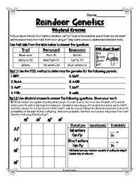100 genetic crosses worksheet answers from punnett square worksheet answers, source:rtvcity.com. Christmas Dihybrid Cross Worksheet Reindeer Genetics Punnett Squares