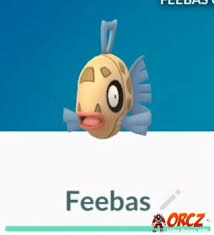 With the third generation of pokemon only just coming to the mobile game, it may. Pokemon Go Feebas Orcz Com The Video Games Wiki