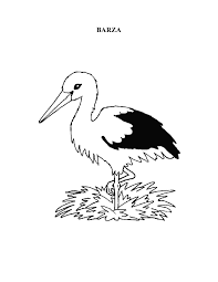 Imagini De Colorat Cu Pasari Zburatoare Fise De Lucru Gradinita Con Poze Cu Pasari Desenate E Page0004 Poze Cu Pasari Desenate 123 Bird Home Decor Decals Decor