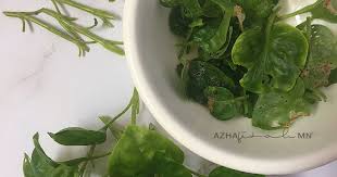 Jun 09, 2021 · urap bumbu mentah insaning yara @cook_24111337. Senang Je Tanam Bayam Brazil Blog Sihatimerahjambu