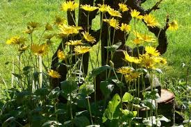 Check spelling or type a new query. Mit Dem Enkel Ab Ins Beet Gartenbucher Von Dorothee Waechter