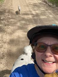 Dalmatian Road Trial Discussion Group