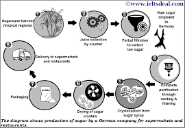 Ielts Academic Writing Task 1 Process Diagram On Sugar