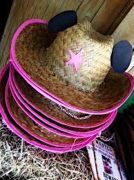 Minnie Cowgirl Inspired Birthday Party Ideas Photo 8 Of 22 Minnie Mouse Birthday Party Diy Kids Birthday Party Country Birthday Party