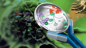 Vandaag ontdekken we samen één van de meest artistieke steden in het ruhrgebied. Deciphering Car T Cells Exploring Functional Mechanisms To Drive Next Generation Immunotherapy Science Aaas