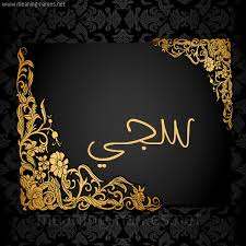 البحث الأكثر شمولاً عن الصور في الويب. ØµÙˆØ± Ø§Ø³Ù… Ø³Ø¬ÙŠ Ù‚Ø§Ù…ÙˆØ³ Ø§Ù„Ø£Ø³Ù…Ø§Ø¡ Ùˆ Ø§Ù„Ù…Ø¹Ø§Ù†ÙŠ