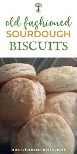 Flaky Buttery Old Fashioned Sourdough Biscuits Recipe Sourdough Biscuits Sourdough Sourdough Recipes