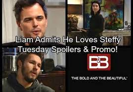 The bold and the beautiful spoilers: The Bold And The Beautiful Spoilers Liam Confesses Loving Steffy To Hope Wyatt Suspects Katie S Motives Bold And The Beautiful Soap News Be Bold