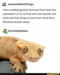 Pin On Ifunny Popular Memes