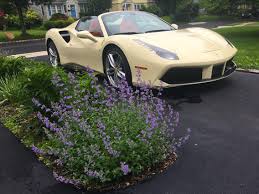 Maybe you would like to learn more about one of these? Ferrari 488 Spider Convertible Supercar Coolest Features