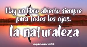 Resultado de imagen de frases bonitas sobre la naturaleza
