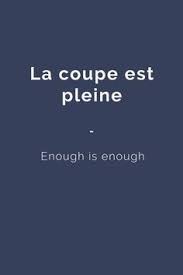 14 French Expressions Featuring Cats Learn French French Expressions French Learning Books