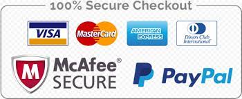 Secure Checkout Payment Badge Icons Shopify Badge Icon Icon Badge