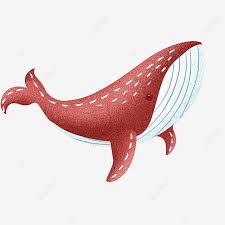Real fish transparent png ikan png devian art png download. Gambar Lukisan Ikan Paus Cikimm Com