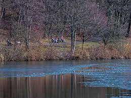 Even then, the area around the callerbachtalsperre was a popular excursion destination, and the iserlohn brewery built a restaurant on the lake in 1924. Leiche Einer Frau Im Seilersee In Iserlohn Mk Entdeckt Grosse Bergung Nordrhein Westfalen