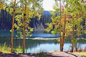 Jumbo campground is one of your many choices, and it's an excellent one at that. Hidden Colorado Gem Grand Mesa Lakes Colorado Com
