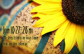 There was cedar on the house within, carved in the shape of gourds and open flowers; Kjv Scripture Quotes Quotesgram